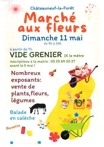 Marche aux fleurs Chateauneuf la Foret 2025