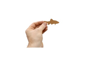 9-poissons_vue-piece-01