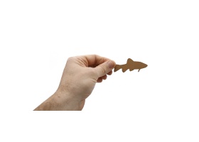 9-poissons_vue-piece-1