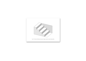 carte-postale_illusion-de-l-escalier-de-schroder