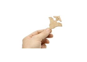 chauve-souris_jeux-efce_vue-detail-2