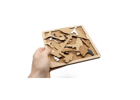 des-champignons_vue-ensemble-02