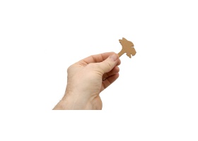 des-champignons_vue-piece-01