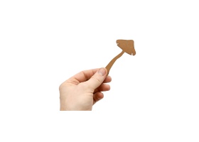 des-champignons_vue-piece-02