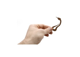 des-serpents_vue-piece-1