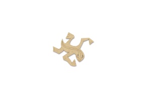 gecko_jeux-efce_vue-detail-1