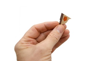 ile-de-vassiviere_vue-piece-02