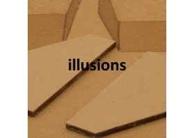 illusions_1785527176