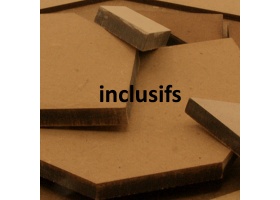 inclusifs_1307785311