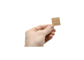 l-aigle-solitaire_jeux-efce_vue-piece-2