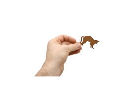 les-chats_vue-piece-01