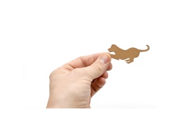 les-chiens_jeux-efce_vue-detail-piece